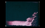 Daniel_158