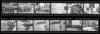 Allen_Contact_Sheet.jpg